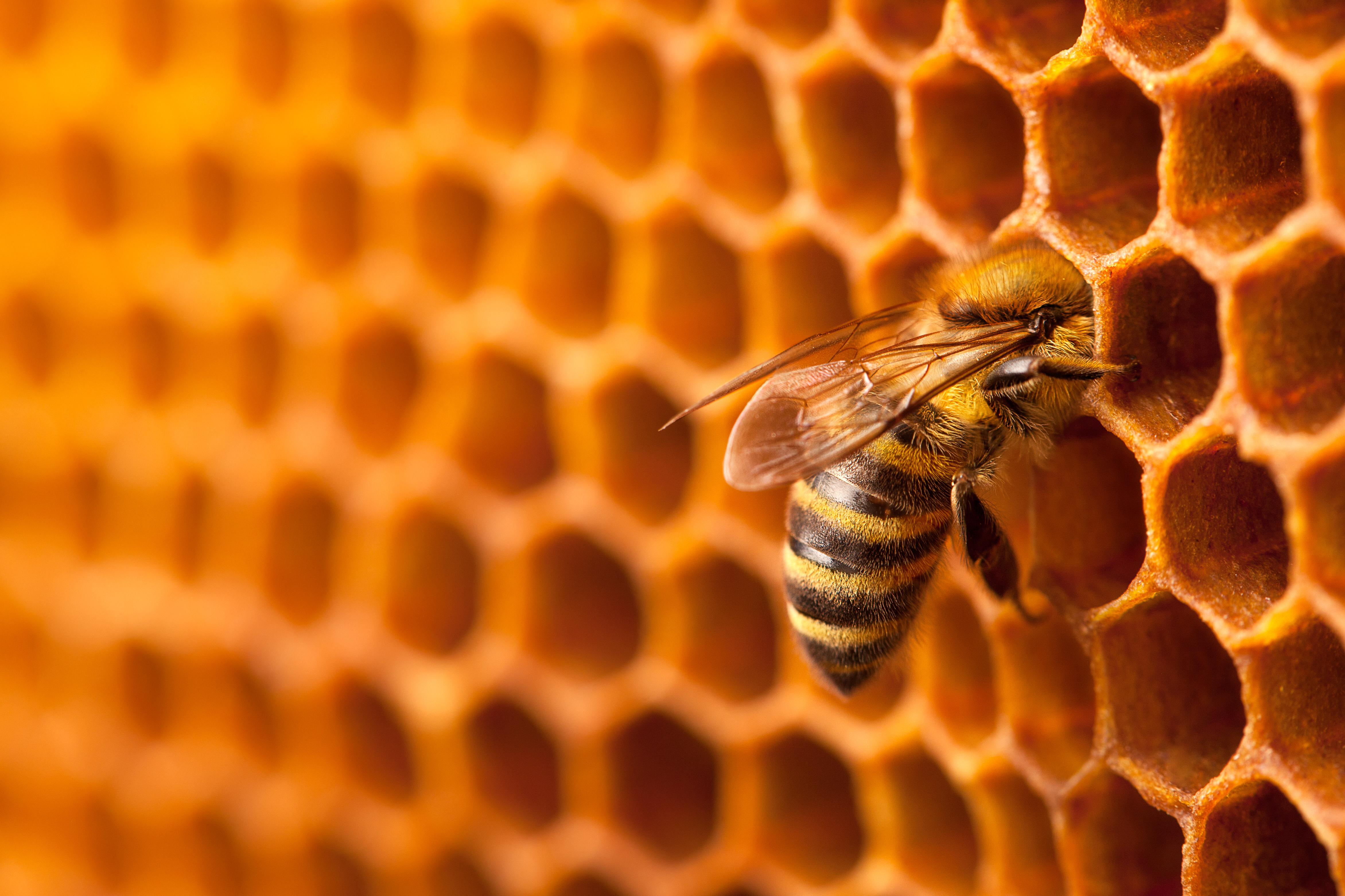 New Honeybee-PH Tool Improves Workflows for Modelers